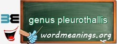 WordMeaning blackboard for genus pleurothallis